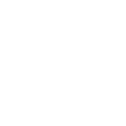 Профессиональный