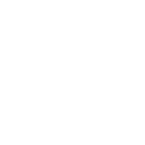 Отчет об испытаниях