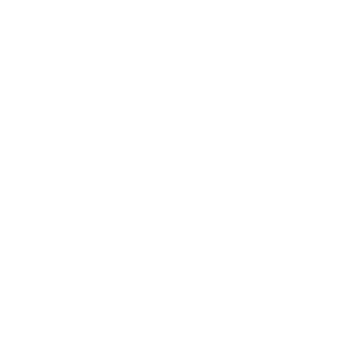 Богатый опыт